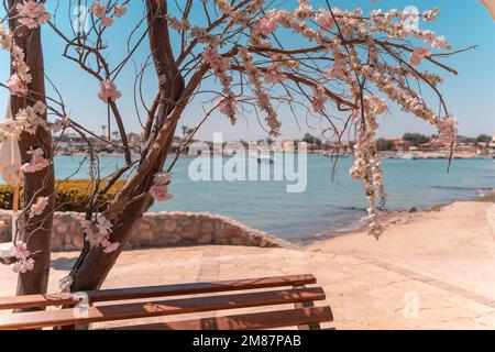 Ein Blick durch einen Baum mit Blumen in die Lagune in El Gouna, Ägypten, mit Häusern im Hintergrund Stockfoto