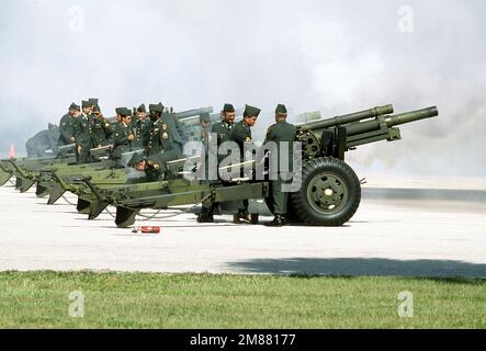 Mitglieder des Btry B. 2. Mrd. EUR, 116. Arty., 53. inf. BDE., Florida Army National Guard, feuern Sie einen 19-Pistolen M-101 105mm Howitzer Salut zu Ehren von William H. Taft IV, stellvertretender Verteidigungsminister, während der USA Aktivierungszeremonie des Sondereinsatzkommandos (USSOCOM). Basis: Luftwaffenstützpunkt MacDill Bundesstaat: Florida (FL) Land: Vereinigte Staaten von Amerika (USA) Stockfoto