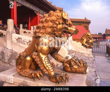 Goldene Löwenstatue vor dem Tor der himmlischen Reinheit, Innenhof der Verbotenen Stadt (Zǐjìnchéng), Dongcheng, Peking, Volksrepublik China Stockfoto