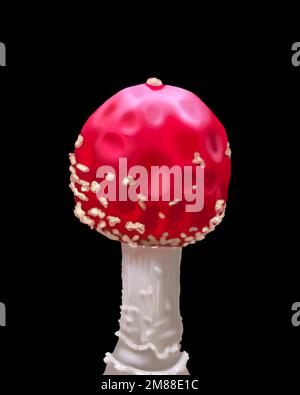 Aquarell rot Fliege agarisch. Realistischer Fliegenpilz. Giftiger Pilz Stockfoto