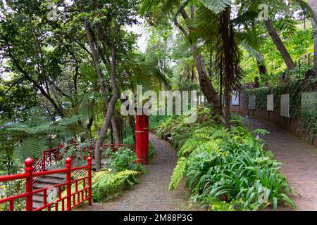 Ein wunderschöner tropischer Garten im Monte-Palast in Madeira, Portugal, mit einem Fußweg und Treppen umgeben von grüner Vegetation Stockfoto