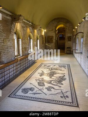 Bodenmosaike im Museo delle Mura, Rom, Italien, Europa Stockfoto