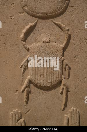 Scarab, Karnak Tempel, Karnak, Ägypten, Afrika Stockfoto