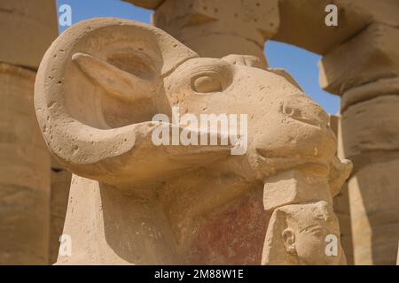 Aries Alley, Erster Vorplatz, Karnak Tempel, Karnak, Ägypten, Afrika Stockfoto