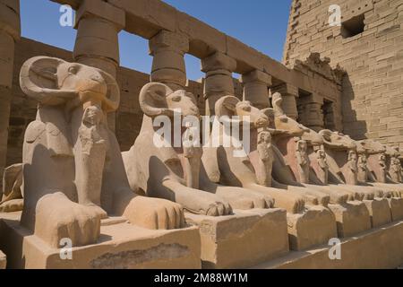 Aries Alley, Erster Vorplatz, Karnak Tempel, Karnak, Ägypten, Afrika Stockfoto