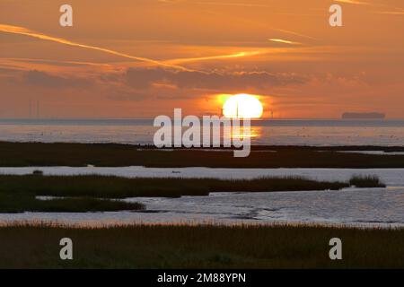 Waddenmeer bei Spieka Neufeld, Bezirk Cuxhaven, Deutschland Stockfoto