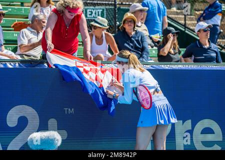 Donna Vekic signiert eine kroatische Flagge für einen Fan während des Kooyong Classic Tennis Tournament Frauen Singles Match vom 1. Tag gegen Linda Fruhvirtova. Melbournes Tennissommer hat begonnen, und der Care A2 Kooyong Classic bietet einen erstklassigen Eröffnungstag im Kooyong Lawn Tennis Club. Donna Vekic startete die Frauen-Singles mit einer 6-4, 6-3 Niederlage von Linda Fruhvirtova. Vekic, die kroatische Welt Nr. In ihrem Debüt auf dem historischen Innenhof von Kooyongís hat 60 den aufstrebenden tschechischen Stern überwunden. Trotz einer frühen Gelegenheit, den Vekic-Aufschlag zu brechen, war Fruhvirtova nicht in der Lage, Kapital zu schlagen Stockfoto