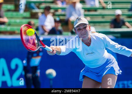 Donna Vekic war während des Kooyong Classic Tennis Tournament Frauen-Singles-Spiels von Tag 1 gegen Linda Fruhvirtova in Aktion. Melbournes Tennissommer hat begonnen, und der Care A2 Kooyong Classic bietet einen erstklassigen Eröffnungstag im Kooyong Lawn Tennis Club. Donna Vekic startete die Frauen-Singles mit einer 6-4, 6-3 Niederlage von Linda Fruhvirtova. Vekic, die kroatische Welt Nr. 60 besiegte den aufstrebenden tschechischen Stern in ihrem Debüt auf dem historischen Innenhof von Kooyongís.Obwohl es eine frühe Gelegenheit gab, den Vekic-Aufschlag zu brechen, konnte Fruhvirtova nicht davon profitieren, mit Erfahrung, die dem C geholfen hat Stockfoto