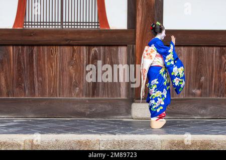 Eine maiko und Geisha schießen auf Manpakuji, Kyoto Stockfoto