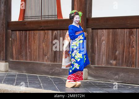 Eine maiko und Geisha schießen auf Manpakuji, Kyoto Stockfoto