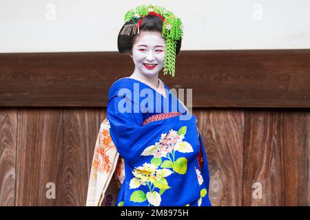 Eine maiko und Geisha schießen auf Manpakuji, Kyoto Stockfoto