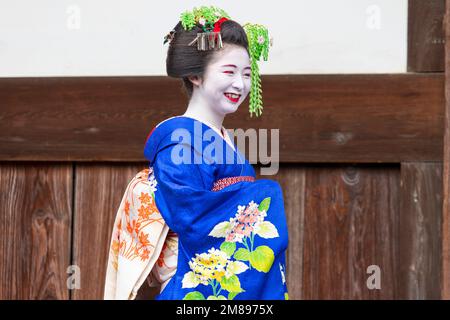 Eine maiko und Geisha schießen auf Manpakuji, Kyoto Stockfoto