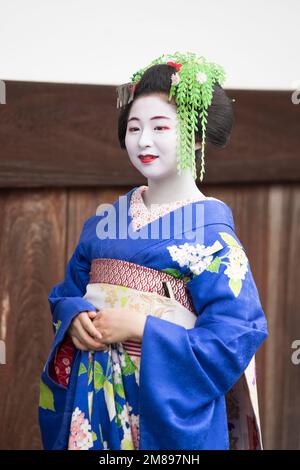 Eine maiko und Geisha schießen auf Manpakuji, Kyoto Stockfoto