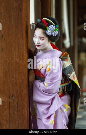 Eine maiko und Geisha schießen auf Manpakuji, Kyoto Stockfoto