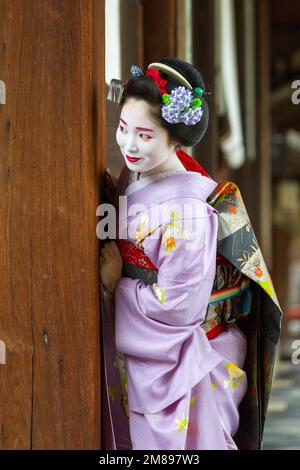 Eine maiko und Geisha schießen auf Manpakuji, Kyoto Stockfoto