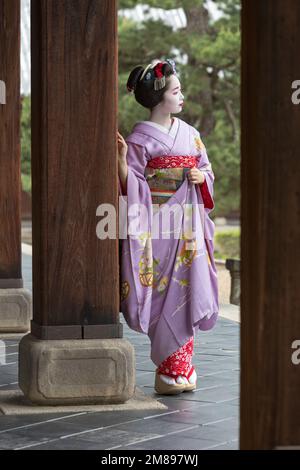 Eine maiko und Geisha schießen auf Manpakuji, Kyoto Stockfoto