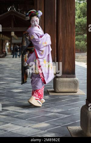 Eine maiko und Geisha schießen auf Manpakuji, Kyoto Stockfoto