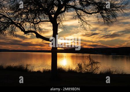 Die Silhouette eines Baumes bei Sonnenuntergang im Inks Lake State Park Burnet County Texas. Texas State Parks 100 Jahre. Stockfoto