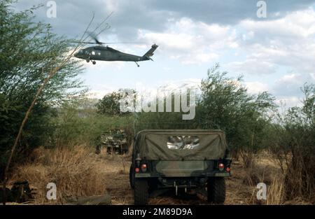 Ein UH-60 Black Hawk Helikopter überquert während der Operation GOLDENER FASAN ein Lager der 82. Airborne Division. Betreff Betrieb/Serie: GOLDFASAN Land: Honduras (HND) Stockfoto