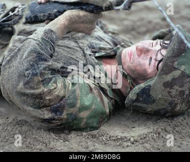 DM-SC-88-07530. Basis: Parris Island Bundesstaat: South Carolina (SC) Land: Vereinigte Staaten von Amerika (USA) Stockfoto