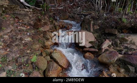 Blick auf Einen kleinen Fluss, der in den Tiefen Eines tropischen Regenwaldes fließt Stockfoto