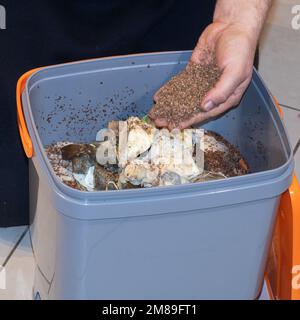 Bokashi-Fermentierungs- und Kompostiermethode. Kompostierung in der Küche mit EM-wirksamen Mikroorganismen, die auf der Weizenkleie imprägniert sind, um sie zu fermentieren Stockfoto