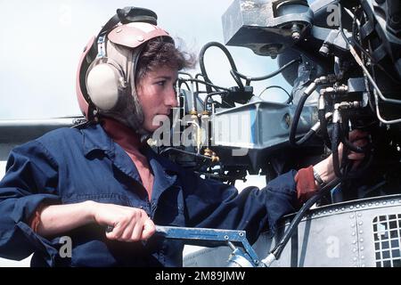 Fotograf's Mate 2. Klasse Judith Wilkinson schmiert die Ausrüstung des Helikopterrotors. Land: Unbekannt Stockfoto