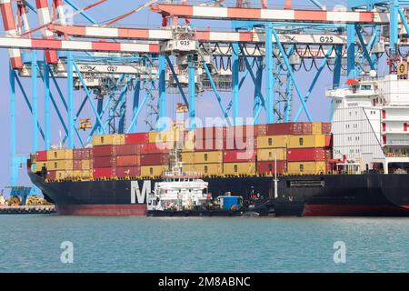 Haifa, Israel - 11. Oktober 2021: MSC Mega Containerschiff legte im Schiffshafen Haifa an. Stockfoto