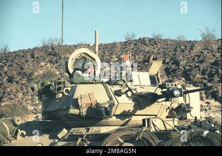 Ein Soldat der 24. Infanteriedivision (mechanisiert) steht in der offenen Kommandantenluke eines M-2 Bradley Kampffahrzeugs, das sich während einer Übung eine Straße im National Training Center entlang bewegt. Basis: Fort Irwin Bundesstaat: Kalifornien (CA) Land: Vereinigte Staaten von Amerika (USA) Stockfoto