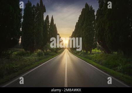 Die von Zypressen gesäumte Straße Bolgheri und die Sonne in der Mitte. Dies ist der historische Boulevard von Carducci' Dichter Davanti San Guido. Alta Marem Stockfoto