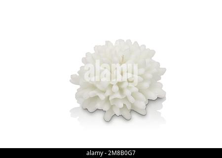 Isolierte farbige Kerze in verschiedenen Formen. Duftkerze. Kerze mit Glas. Eier, Meer, Herz, Blume, Fisch, Seesterne, Muscheln, Korallen, Engel, Apfel. Stockfoto