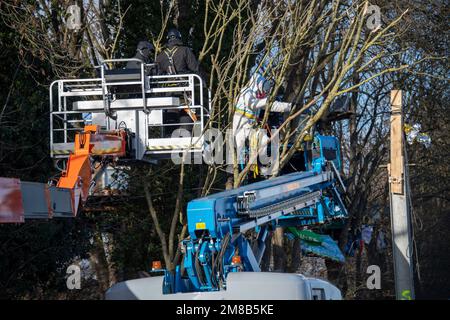 Polizisten nehmen einen Aktivisten aus einem Baum mit einer Hebebühne, die Polizei begann heute, das Dorf Luetzerath zu räumen, am 11. Januar 2023, das Dorf Luetzerath an der Westseite des Garzweiler-Braunkohlebergwerks wird im Januar 2023 ausgegraben, Luetzerath, am 11. Januar 2023 , Stockfoto