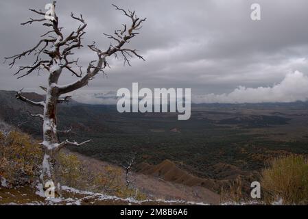 Montezuma Valley Overlook im Mesa Verde National Park, Colorado Stockfoto