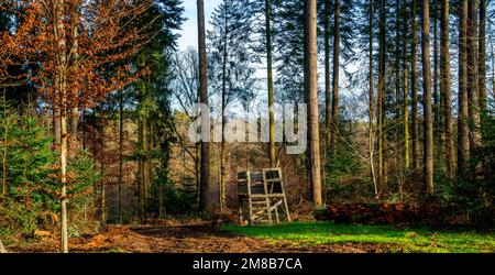 Jäger sitzen im Wald in den Ardennen, Belgien Stockfoto