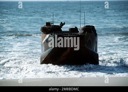 Ein Amphibienfahrzeug AAVP-7, das Marines der 2. Marine Division transportiert, kommt am D-Tag der gemeinsamen Serviceübung Solid Shield '89 an Land. Betreff Operation/Serie: SOLID SHIELD '89 Base: Marine Corps Base, Camp Lejeune Bundesstaat: North Carolina (NC) Land: Vereinigte Staaten von Amerika (USA) Stockfoto