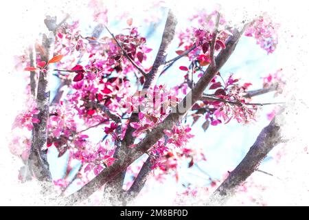 Aquarellmalerei der Kirschblüte. Wasserfarbenkunst Frühlingskonzept. Farbenfroher Hintergrund in Aquarellfarben. Stockfoto