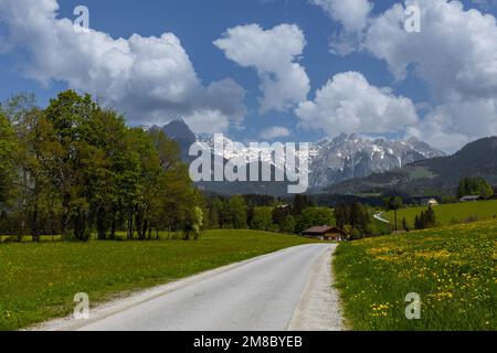 Landschaft im österreichischen Hochland, grüne Felder und blaue Berge Stockfoto