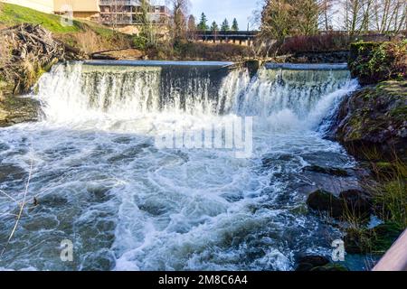 Blick auf den Brewery Park mit einem der Wasserfälle der Tumwater Falls. Stockfoto