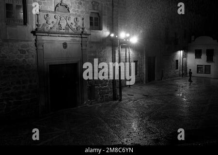 Plasencia, Spanien - 25. Dezember 2022: Bischofspalast neben der Kathedrale in Plasencia. Nacht mit Regen. Stockfoto