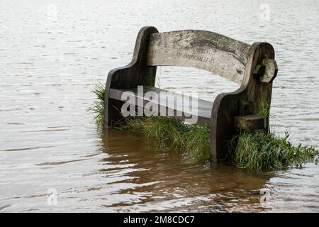 Im River Hamble Country Park in Hampshire England, umgeben von Wasser bei Flut Stockfoto