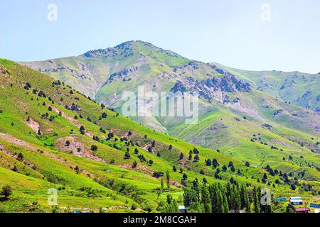 Hohe Berge mit grünem Gras und Bäumen am blauen Himmel an einem Sommertag. Wunderschöne ruhige Landschaft mit Bergen und Hügeln ohne Stockfoto