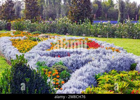 Leuchtende bunte Blumen auf dem Blumenbeet im Ziergarten an sonnigen Sommertagen im Freien. Stockfoto