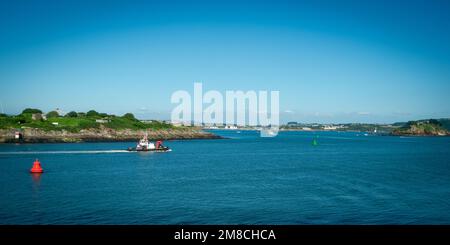 15. Juli 2021 - Mount Edgcumbe, Großbritannien: Blick über die geschäftigen Gewässer in Richtung Plymouth vom Mount Edgcumbe Country Park, Cornwall, Großbritannien Stockfoto