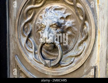 Antike dekorative Griffklopfer an der Holztür eines alten Hauses. Klassischer Löwenkopf aus Metallbronze. Hochwertiges Foto Stockfoto