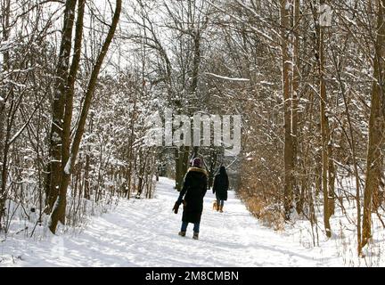 Zwei Frauen, die im Winterwald spazieren gehen Stockfoto