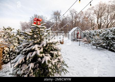 Verschneiter Hof mit Gewächshaus und Weihnachtsbaum Stockfoto