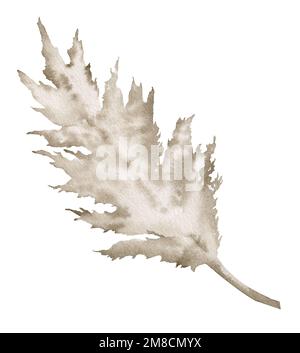 Aquarelldarstellung von getrocknetem Pampas-Gras auf isoliertem Hintergrund im Bo-Stil. Handgezogener Pampa-Zweig für Grußkarten oder Hochzeitseinladungen. Eleganz, botanische Zeichnung. Beige Farben Stockfoto