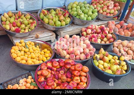 Verschiedene frische lokale Früchte (Äpfel, Birnen, Pfirsiche und Aprikosen) an einem Bauernmarkt für Bio-Lebensmittel auf der Straße. Stockfoto