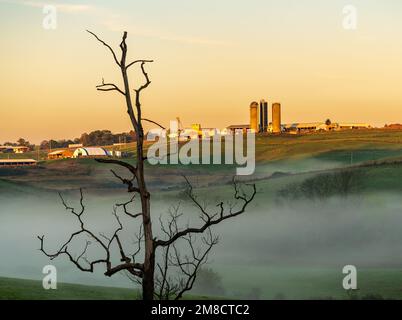 Das WVU-Landwirtschaftszentrum in Morgantown, West Virginia, an einem nebligen Herbstmorgen Stockfoto