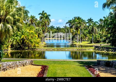 Palmen Reflektieren Fairchild Tropical Botanic Garden Coral Gables Florida Stockfoto